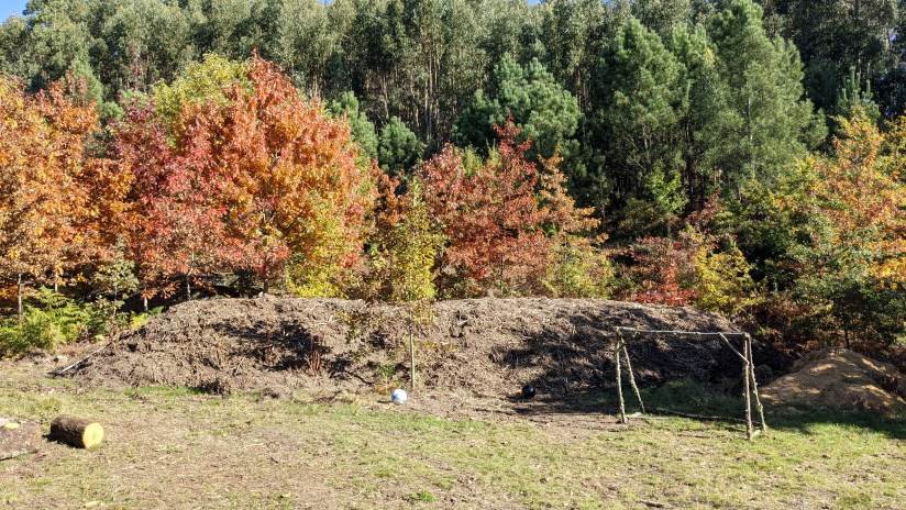 Starting the Hugel&nbsp;Bed