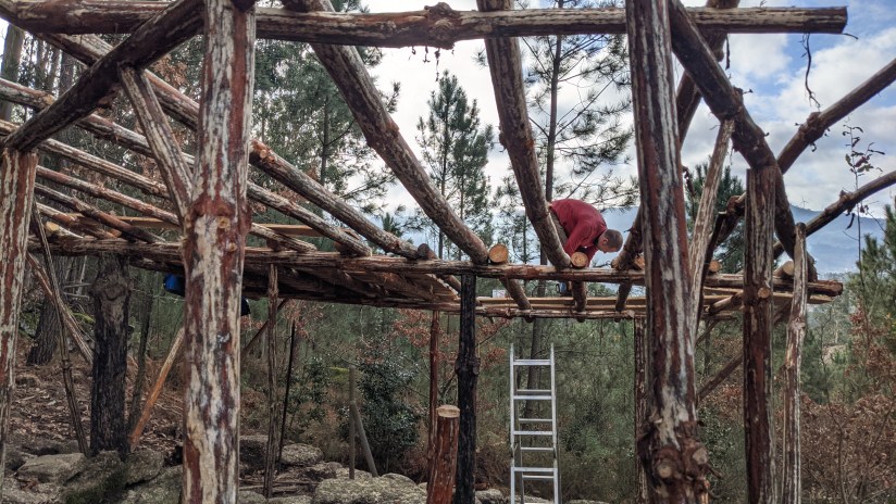 Goat Barn: Foundation &&nbsp;Roof