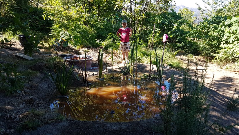 Small Greywater Ponds